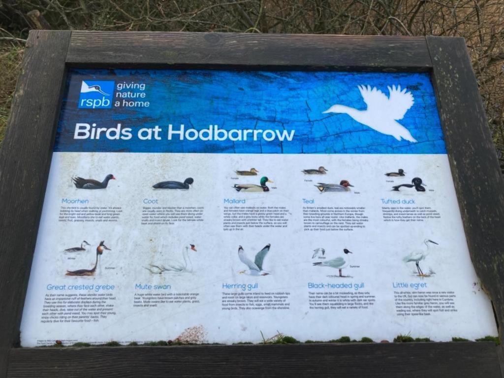 Kingdom Holiday Park - Parrot Millom Ngoại thất bức ảnh